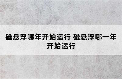 磁悬浮哪年开始运行 磁悬浮哪一年开始运行